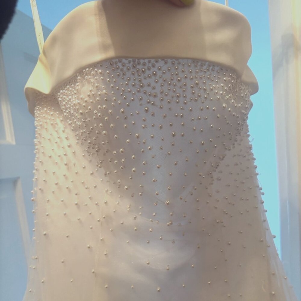 David's Bridal Dress